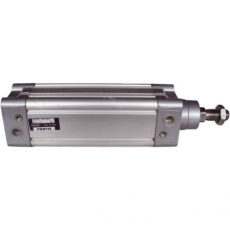 Cilindro pneumático DNC-50-100-PPV 50X100